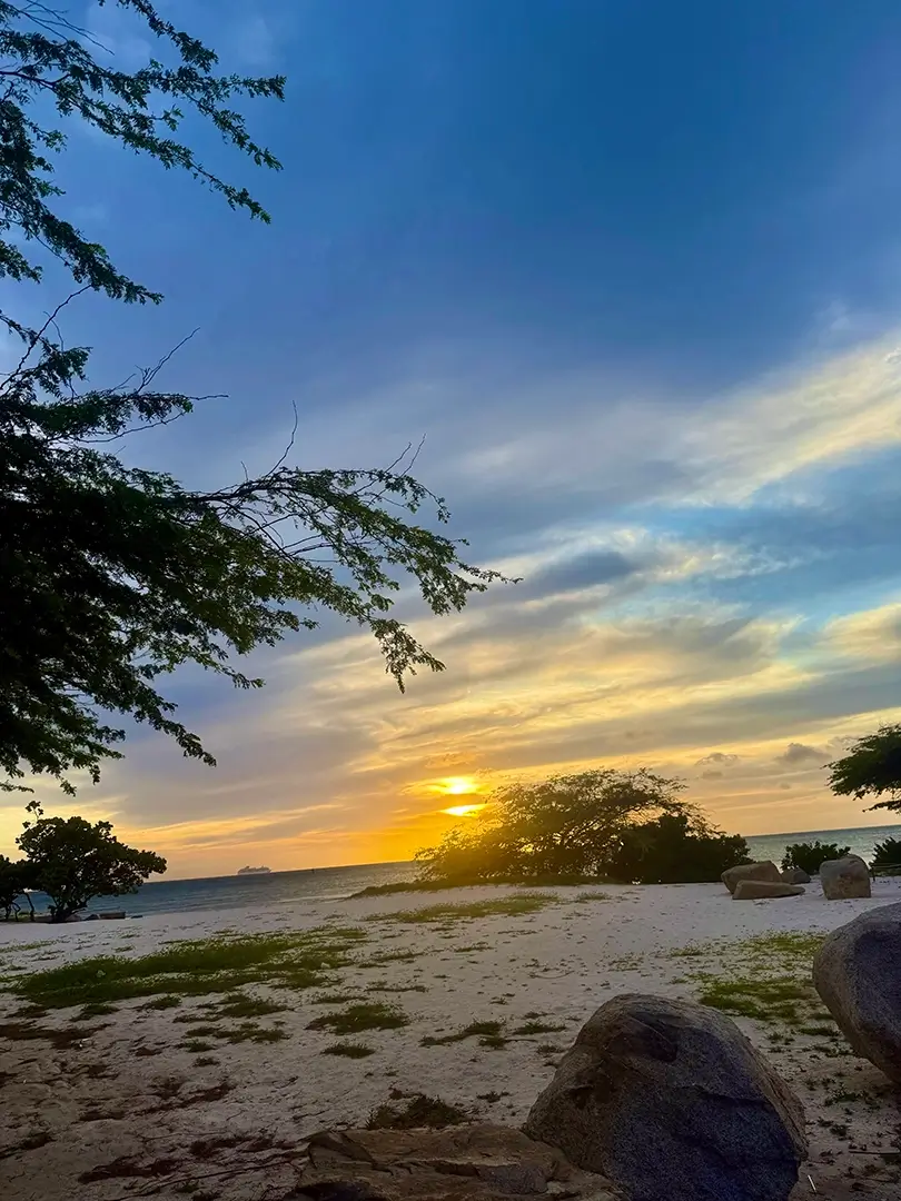 Sunset views from the beach through the trees